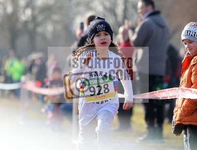 Hessische Crosslauf-Meisterschaften; Trebur, 18.02.2018