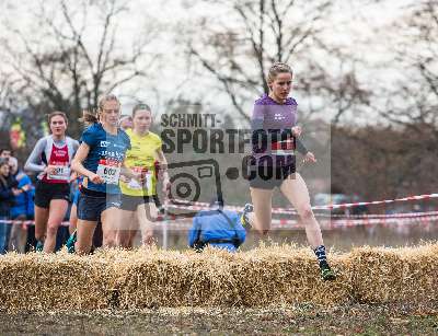 Darmstadt-Cross; Darmstadt, 25.11.2018