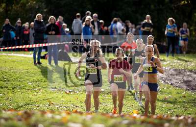 30. Waldstraesser Crosslauf; Wiesbaden, 05.11.2022