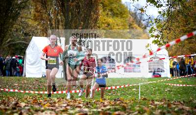 31. Waldstraesser Crosslauf; Wiesbaden, 11.11.2023